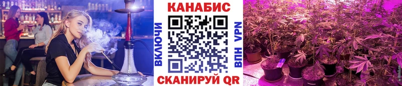 Где найти наркотики Рассказово Канабис  Амфетамин  Галлюциногенные грибы  МДМА  Гашиш 