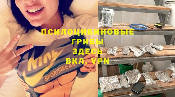 амф Арсеньев