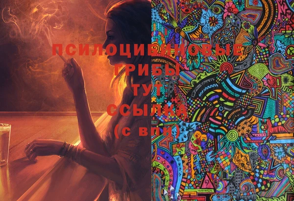 кокс Армянск
