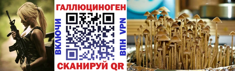 hydra ТОР  цены наркотик  Рассказово  Псилоцибиновые грибы Psilocybine cubensis 